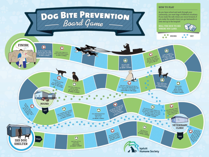 Iqaluit Humane Society Board Game
